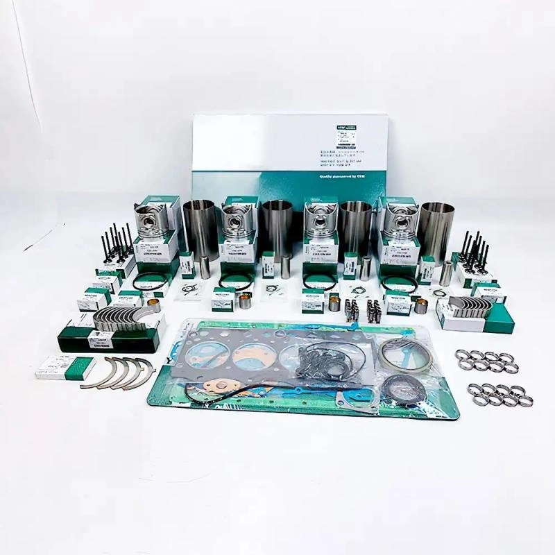 Overhaul Rebuild Kit